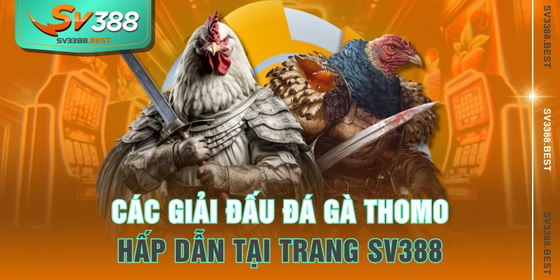 Các giải đấu đá gà Thomo hấp dẫn tại trang SV388