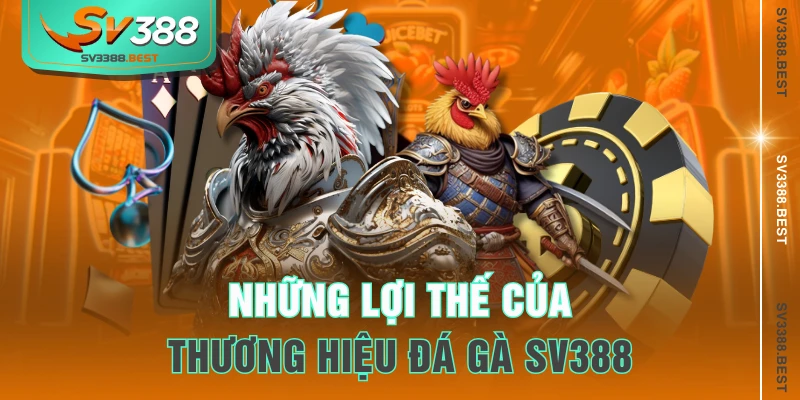 Những lợi thế của thương hiệu đá gà SV388