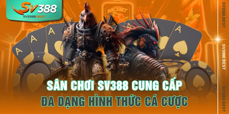 Sân chơi SV388 cung cấp đa dạng hình thức cá cược