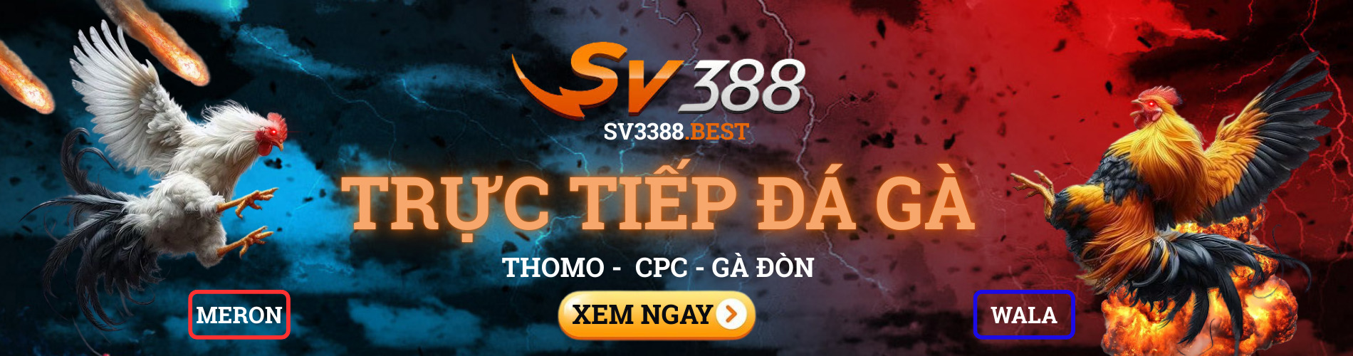 Kênh SV388 Trực Tiếp Đá Gà Thomo - CPC - Gà Đòn